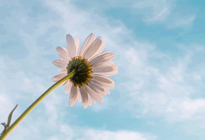 Fusaka Mainnet Launch: Can ETH Actually Hit $3K? (X Marks The Spot!)