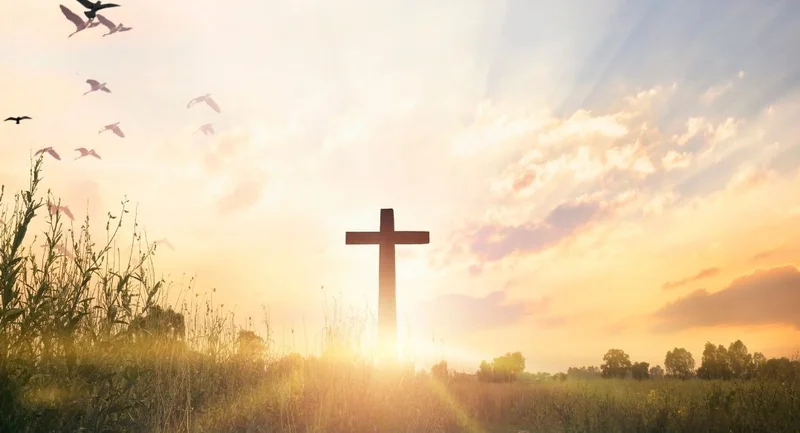 Cross-Border Shenanigans: What's the Impact and Who Actually Benefits?